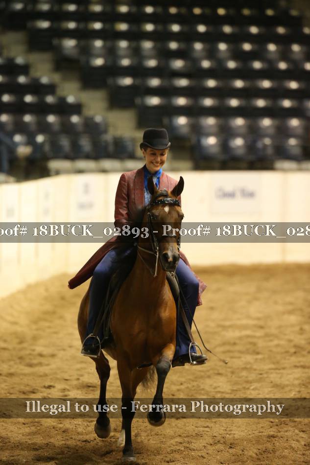 Proof 18BUCK_02893