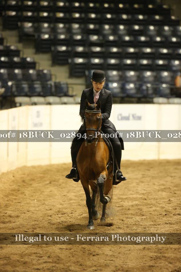 Proof 18BUCK_02894