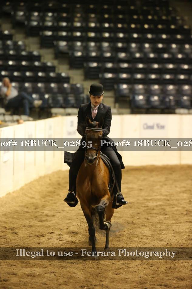 Proof 18BUCK_02895