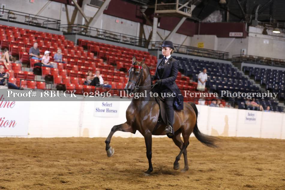 Proof 18BUCK_02896