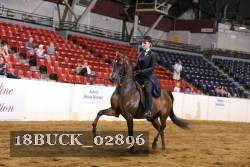 18BUCK_02896 proof