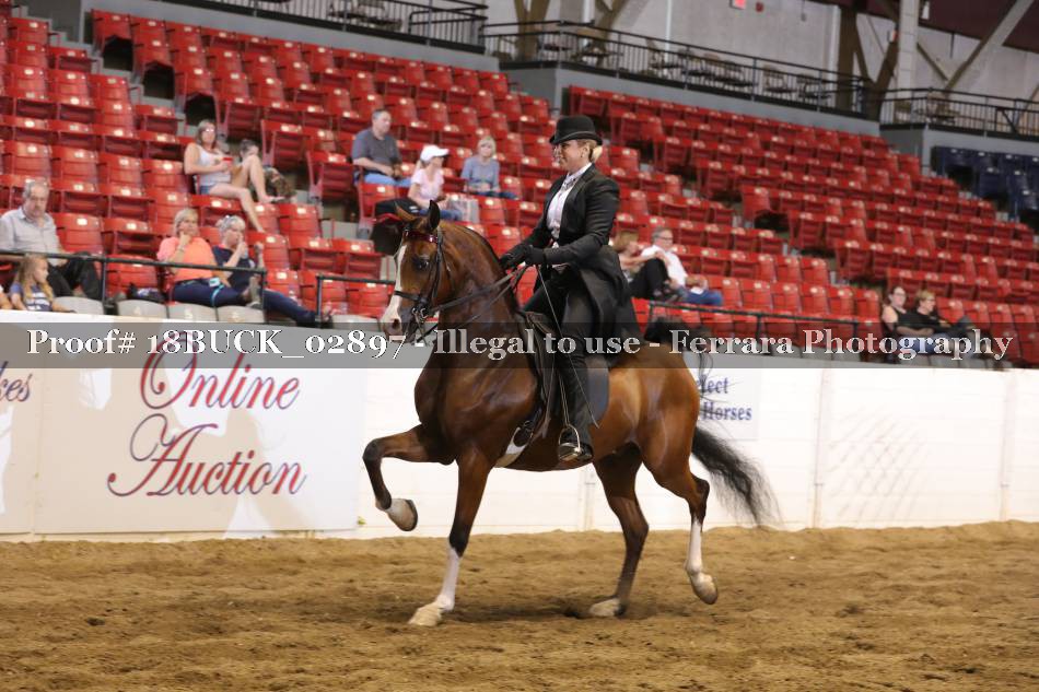 Proof 18BUCK_02897