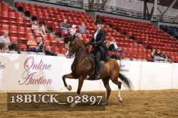 18BUCK_02897 proof