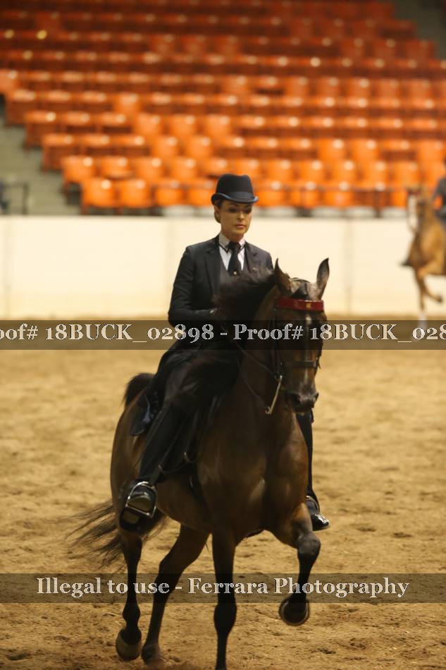 Proof 18BUCK_02898