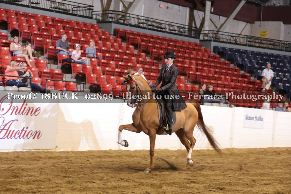 Proof 18BUCK_02899