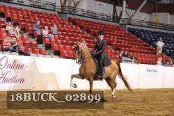 18BUCK_02899 proof