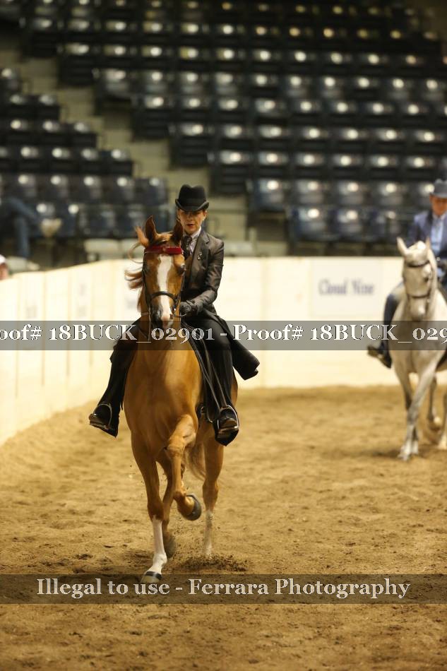 Proof 18BUCK_02901
