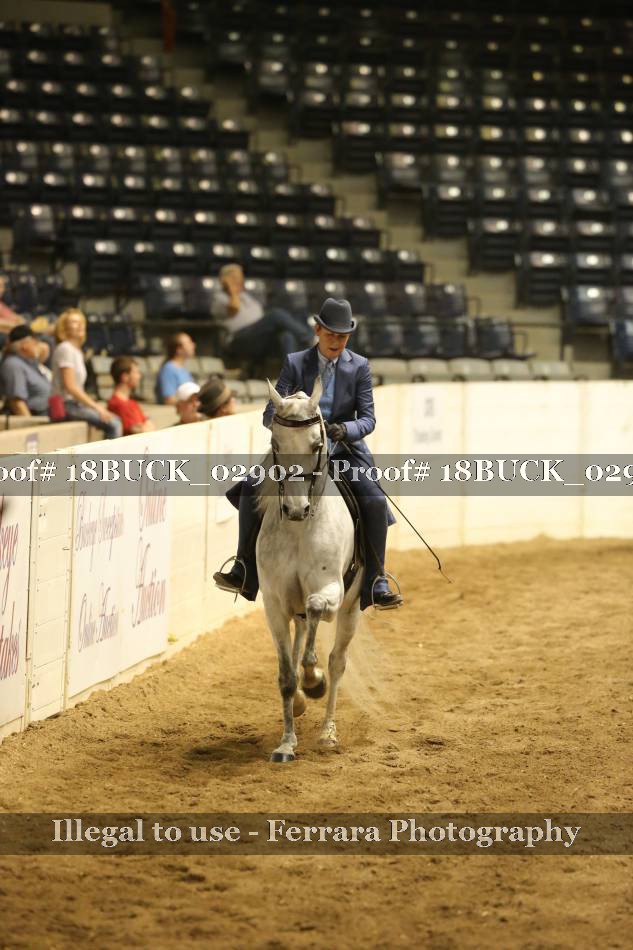 Proof 18BUCK_02902