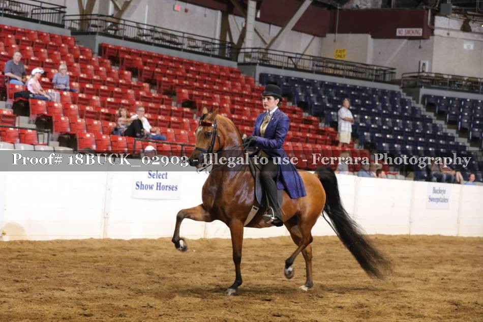 Proof 18BUCK_02903