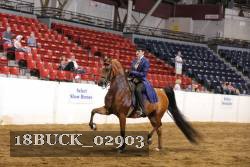 18BUCK_02903 proof