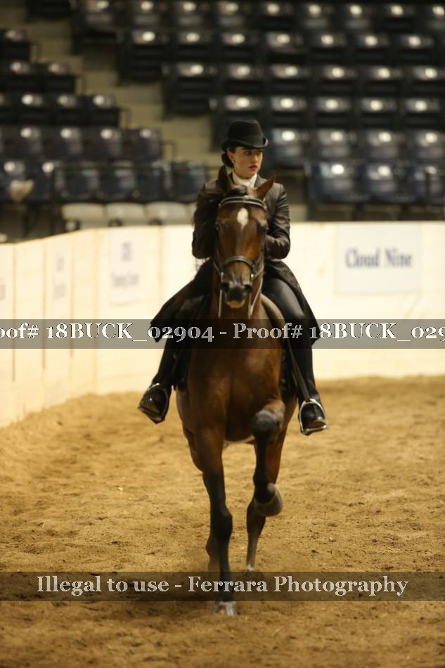 Proof 18BUCK_02904