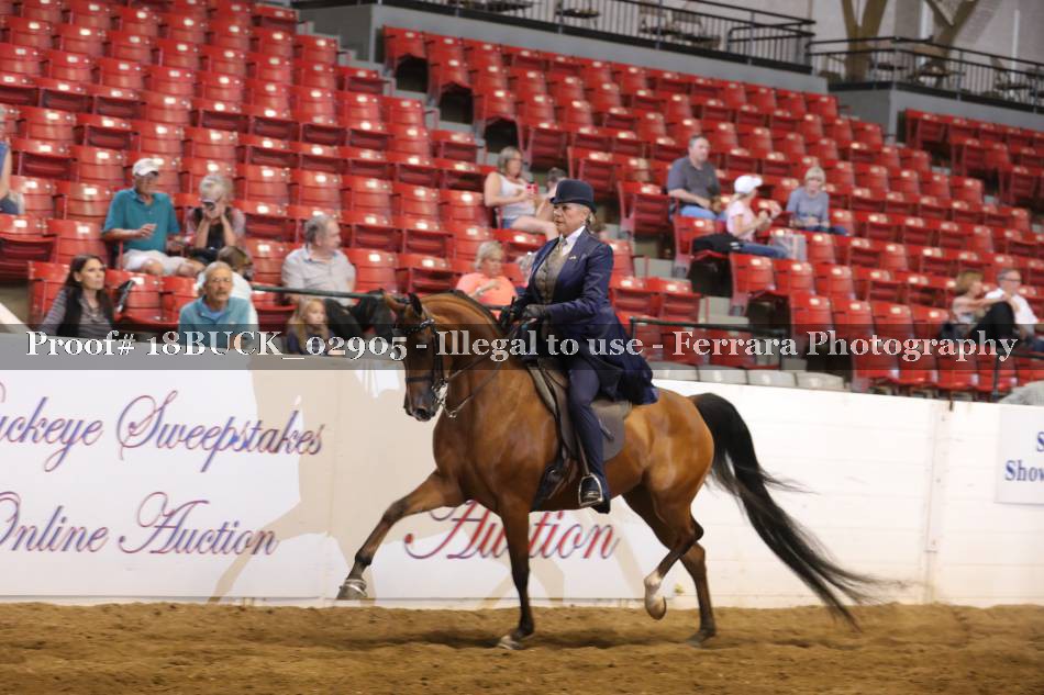Proof 18BUCK_02905