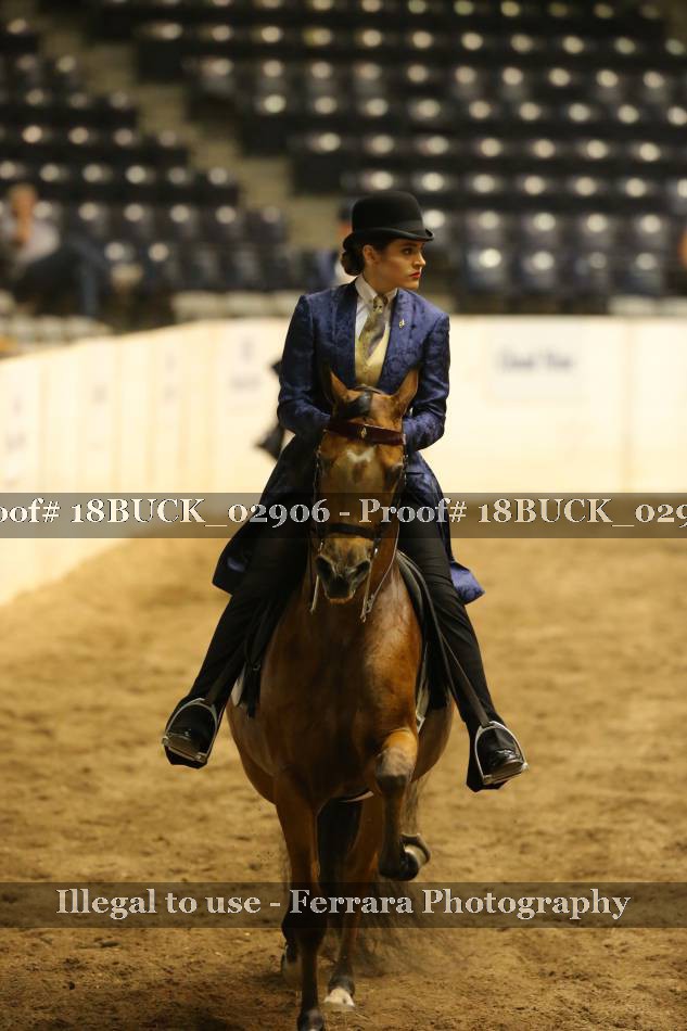 Proof 18BUCK_02906