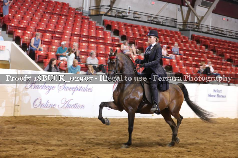 Proof 18BUCK_02907