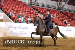 18BUCK_02907 proof