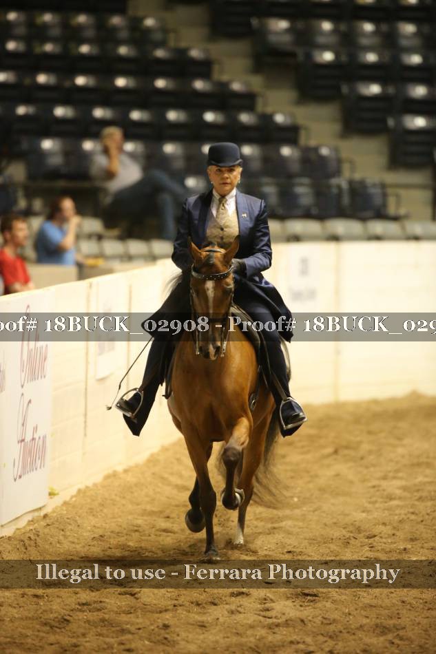 Proof 18BUCK_02908