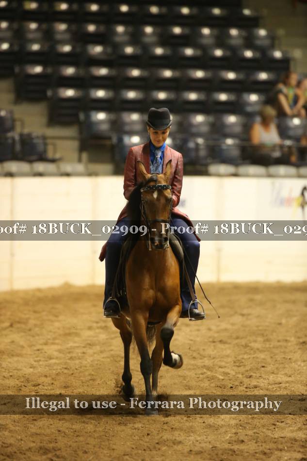 Proof 18BUCK_02909