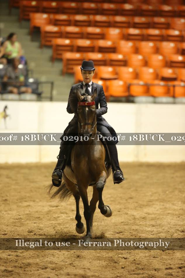 Proof 18BUCK_02910