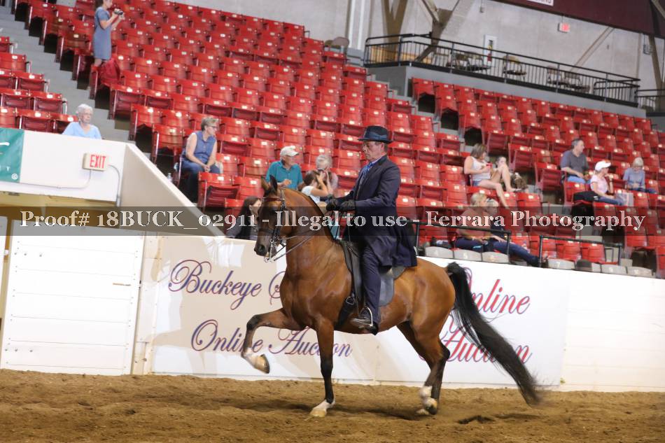 Proof 18BUCK_02911