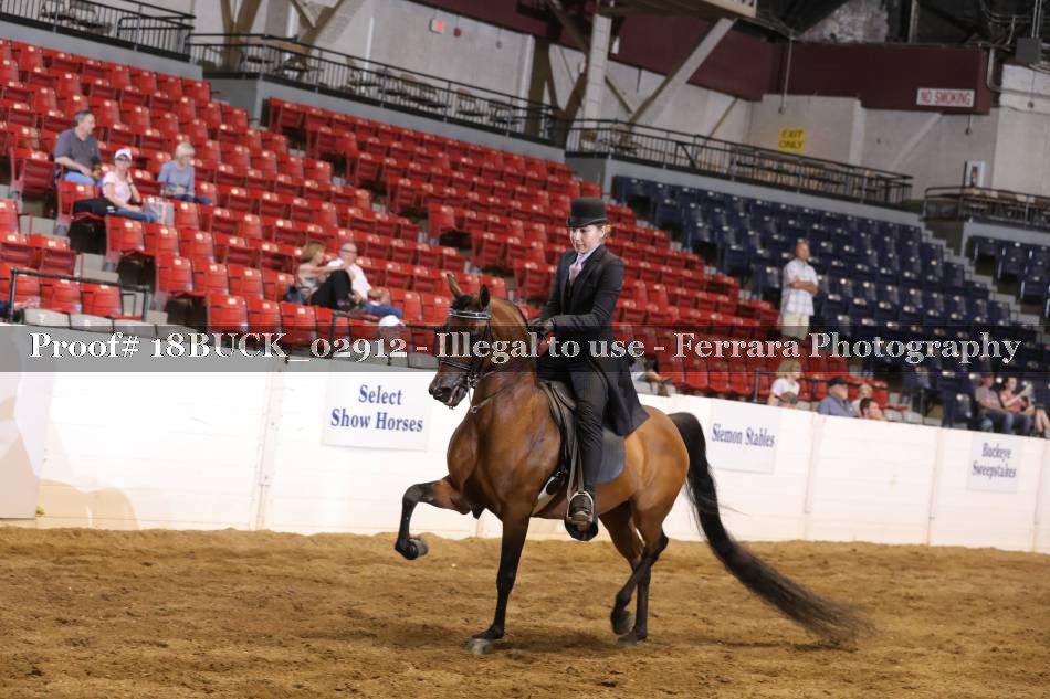 Proof 18BUCK_02912