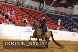 18BUCK_02912 proof