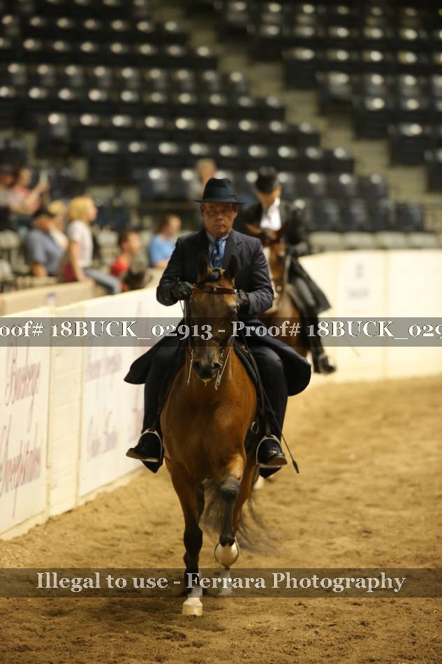 Proof 18BUCK_02913