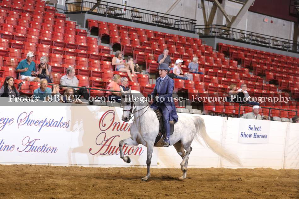 Proof 18BUCK_02915