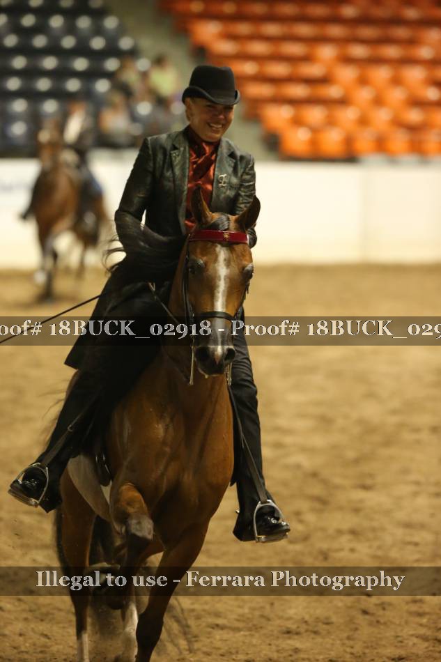 Proof 18BUCK_02918