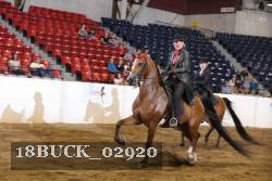 18BUCK_02920 proof