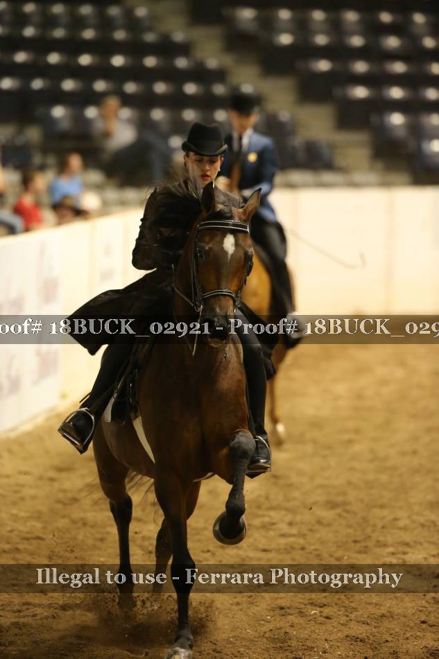 Proof 18BUCK_02921