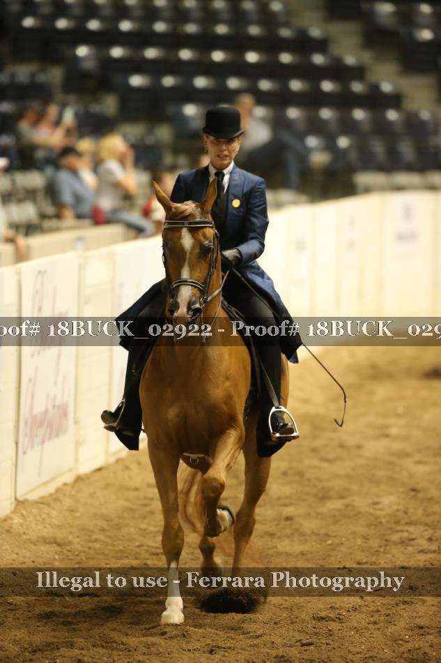 Proof 18BUCK_02922
