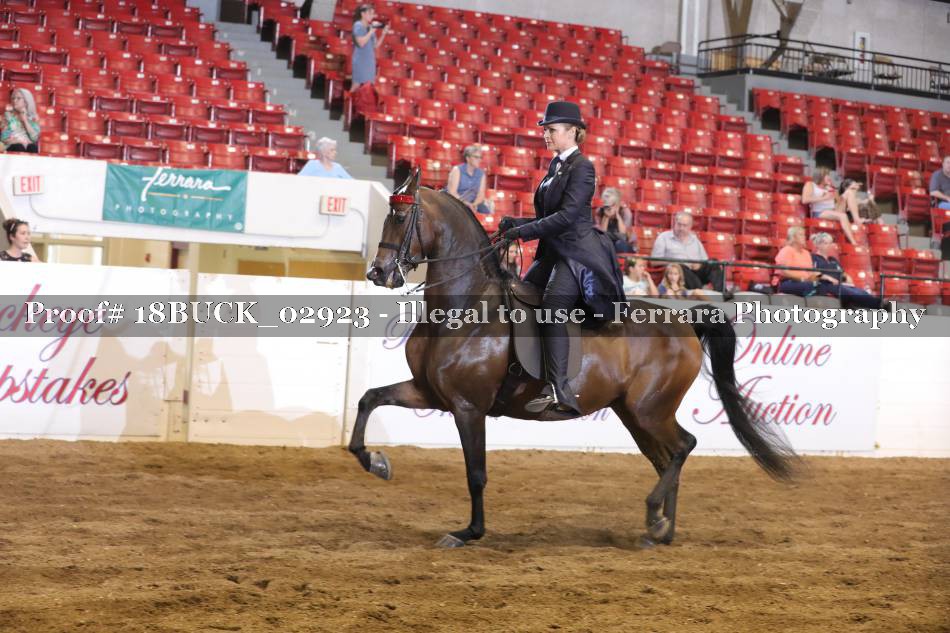 Proof 18BUCK_02923