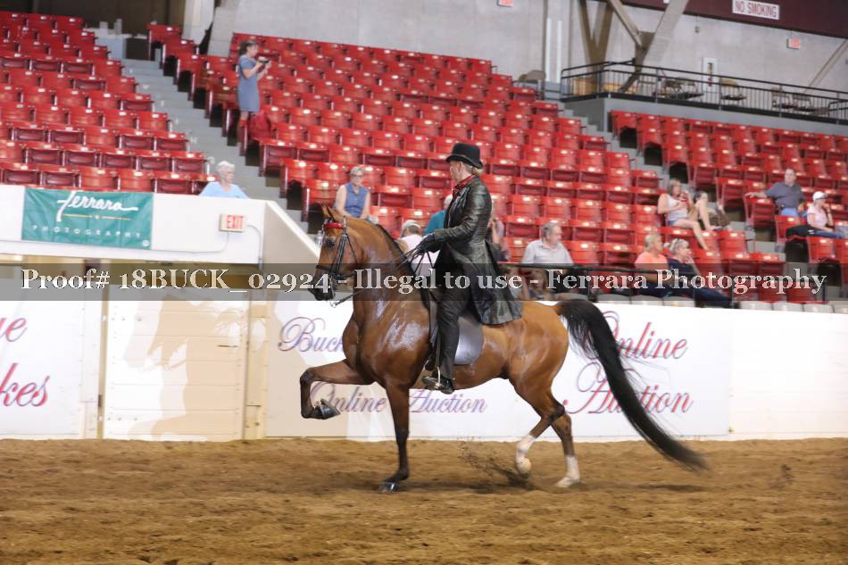 Proof 18BUCK_02924