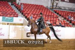 18BUCK_02924 proof