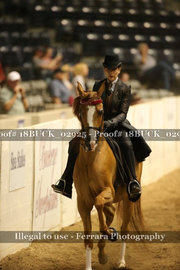 Proof 18BUCK_02925