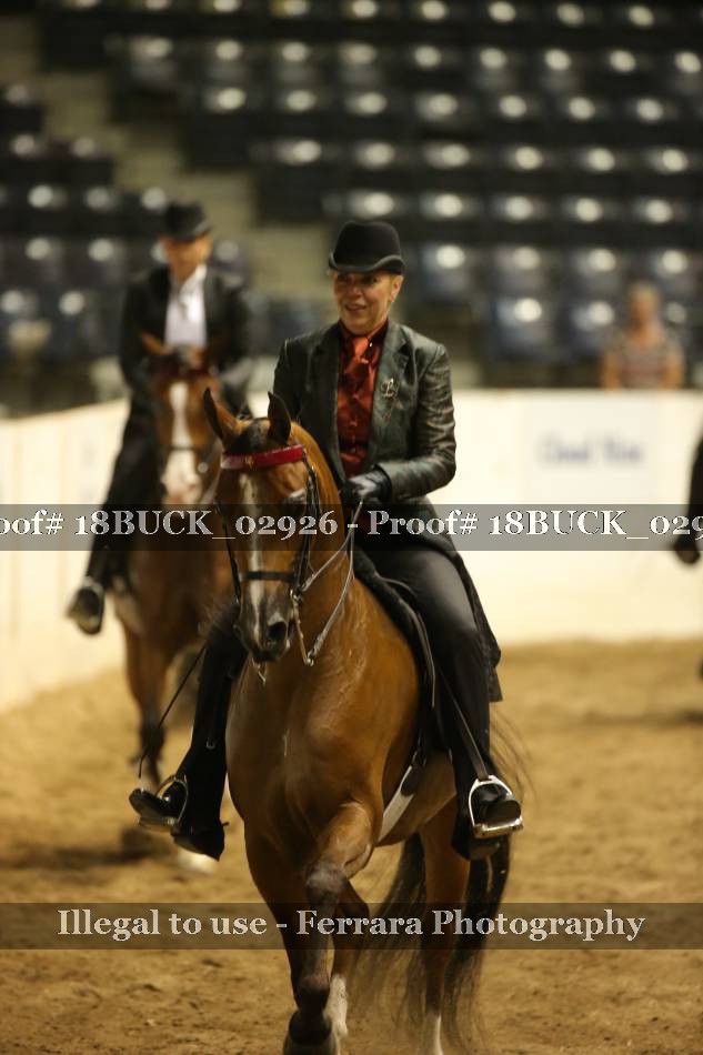 Proof 18BUCK_02926