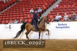 18BUCK_02927 proof