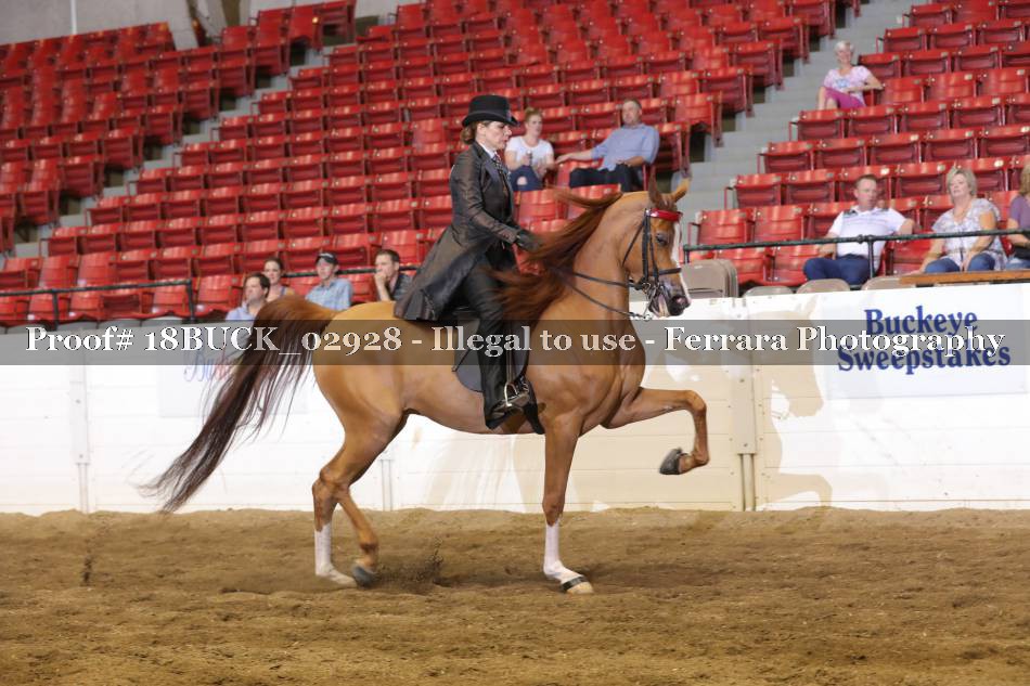 Proof 18BUCK_02928