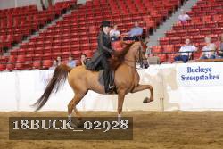 18BUCK_02928 proof