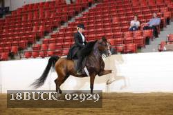18BUCK_02929 proof