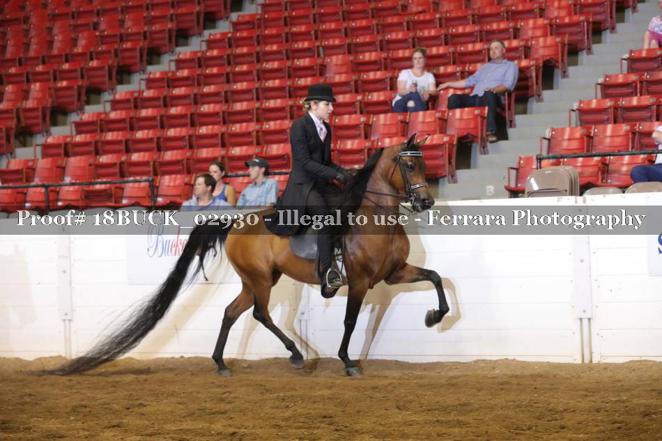 Proof 18BUCK_02930
