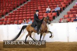 18BUCK_02930 proof