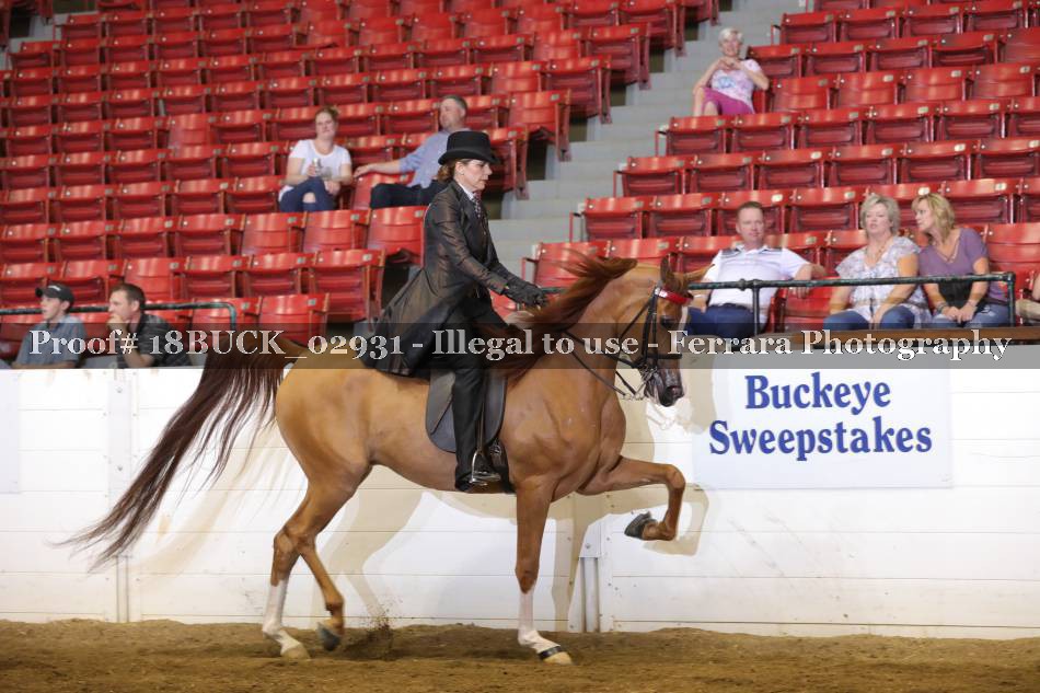 Proof 18BUCK_02931