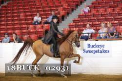 18BUCK_02931 proof