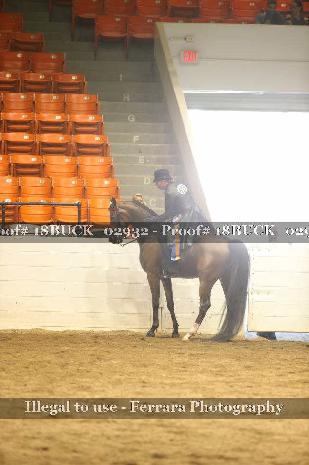 Proof 18BUCK_02932