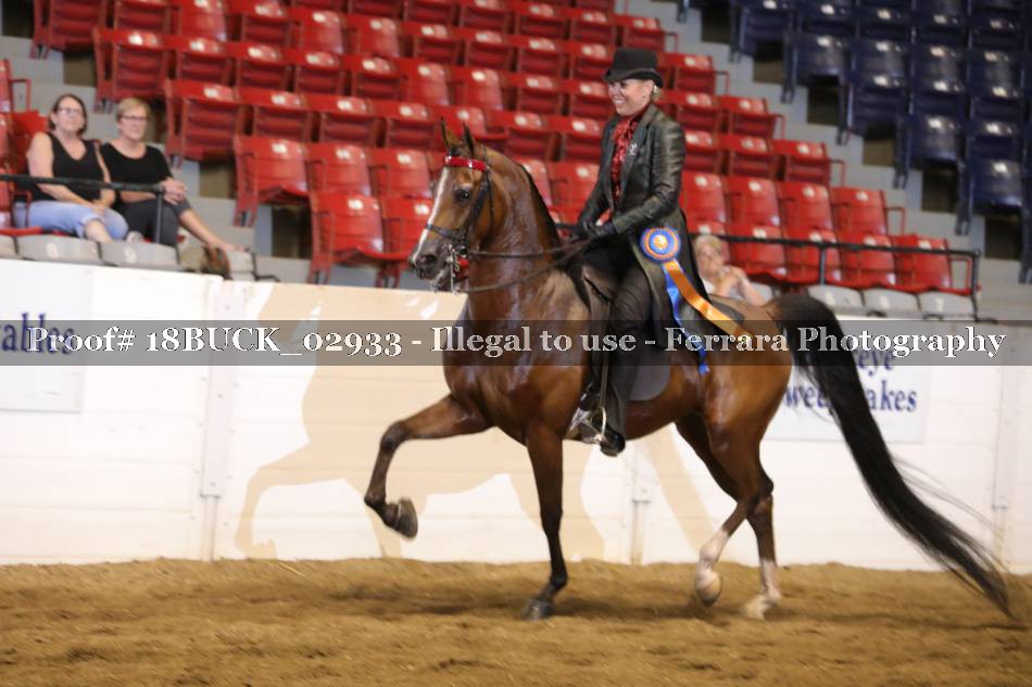 Proof 18BUCK_02933