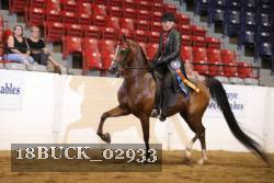 18BUCK_02933 proof