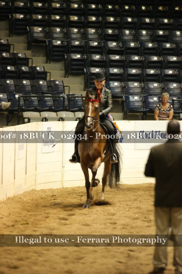 Proof 18BUCK_02934