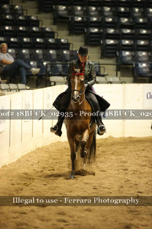 Proof 18BUCK_02935