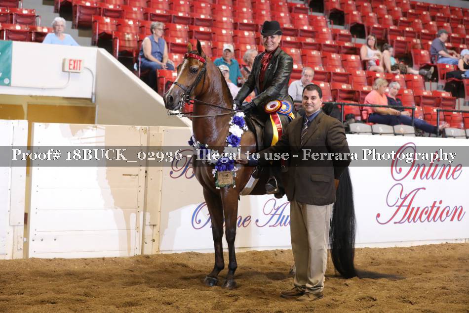 Proof 18BUCK_02936